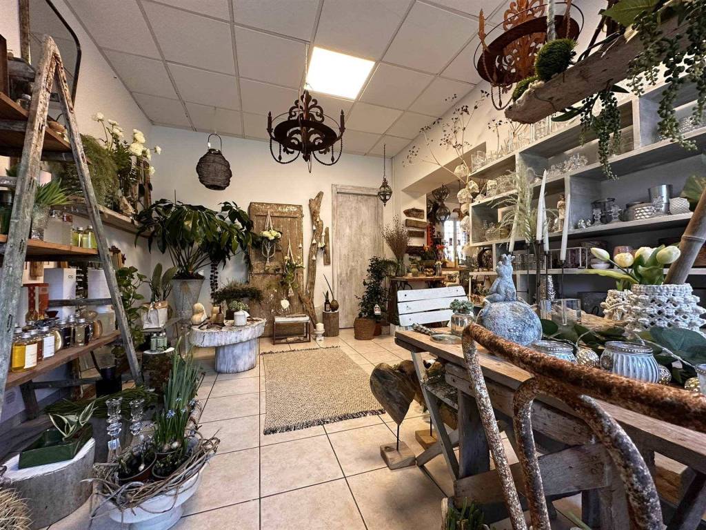 Immobile a Ostra in Viale Matteotti - Foto 5