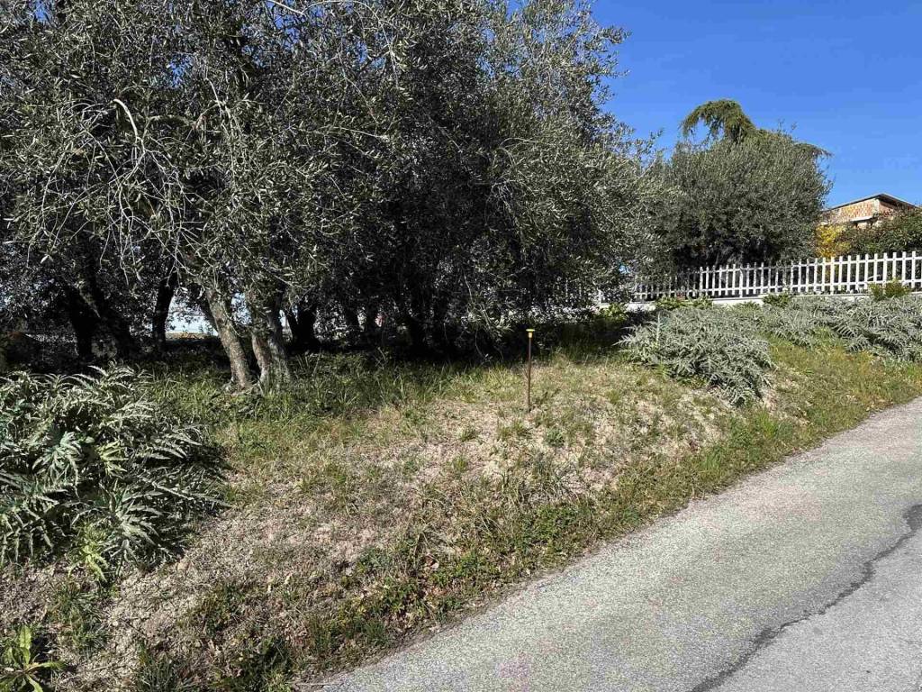 Terreno a Ostra - Foto 4