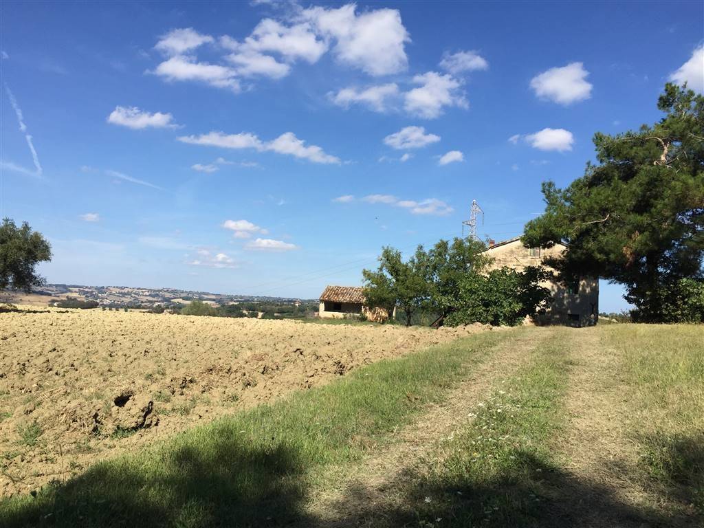 Rustico / casale a Ostra - Foto 3