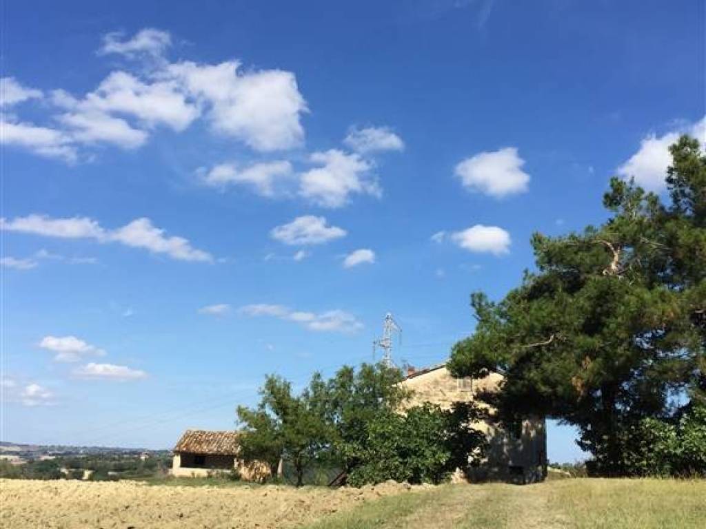 Rustico / casale a Ostra - Foto 5