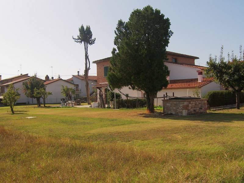 Casa indipendente a Torrita di siena - Foto 4