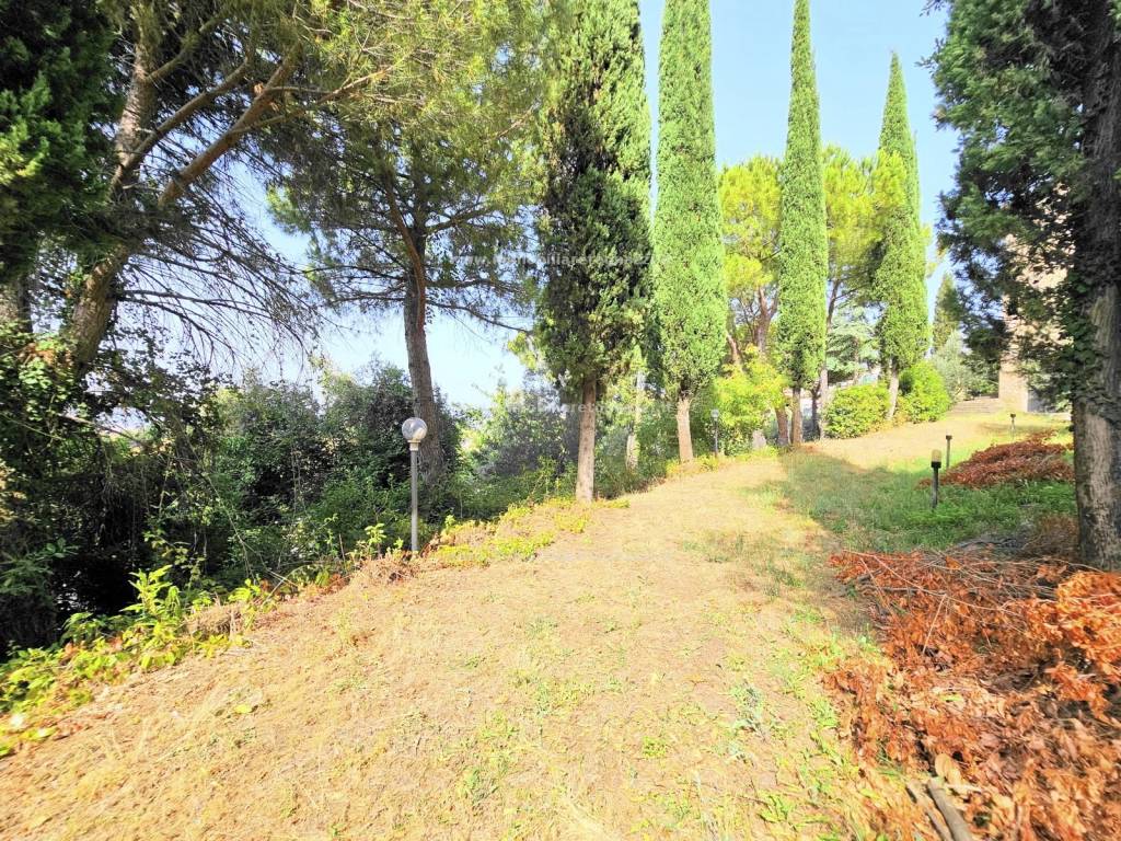 Terreno a Gambassi terme in Zona semicentrale - Foto 5