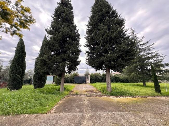 Villa a Terlizzi in Strada Comunale Terlizzi-Sovereto - Foto 3