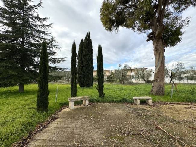 Villa a Terlizzi in Strada Comunale Terlizzi-Sovereto - Foto 4