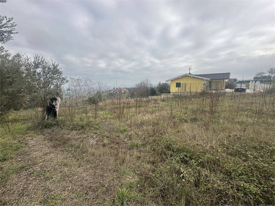 Terreno a Bellante in Strada Provinciale 13 - Foto 3