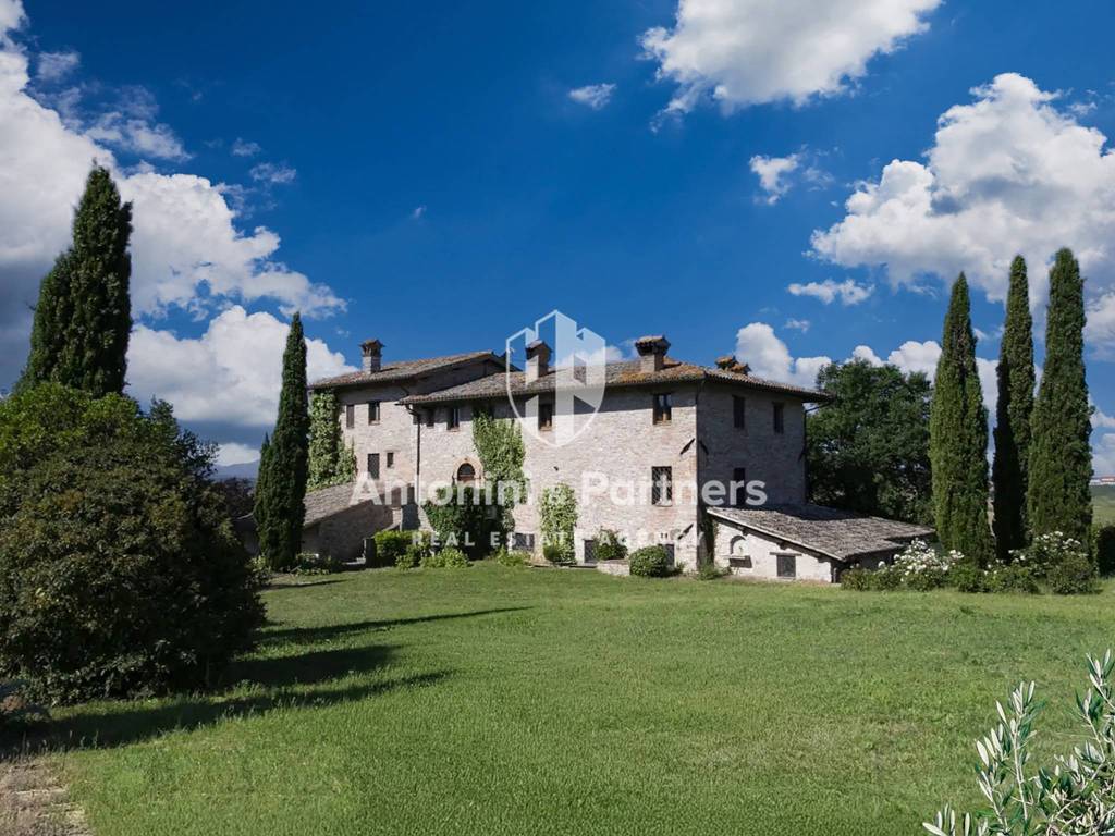 immagine di copertina