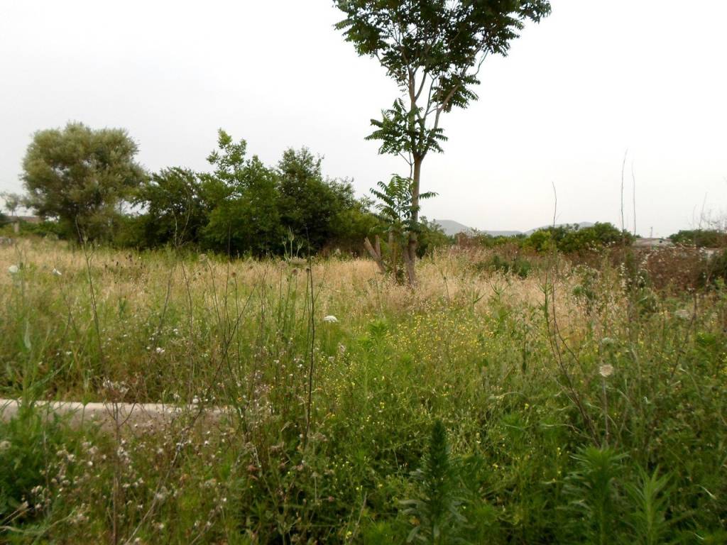 Terreno a Portico di caserta in Via Gioacchino Rossini - Foto 2
