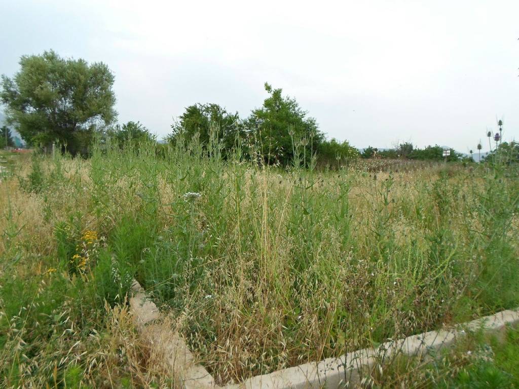Terreno a Portico di caserta in Via Gioacchino Rossini - Foto 3