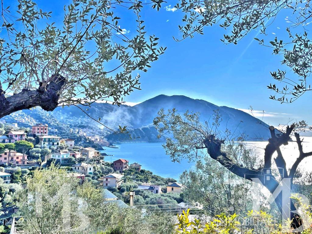 Villa a Recco in Via del Castello, 32 - Foto 2