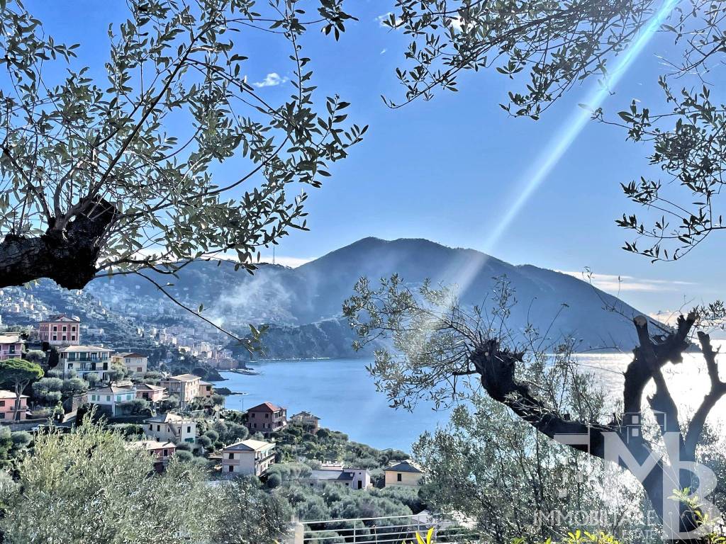Villa a Recco in Via del Castello, 32 - Foto 3