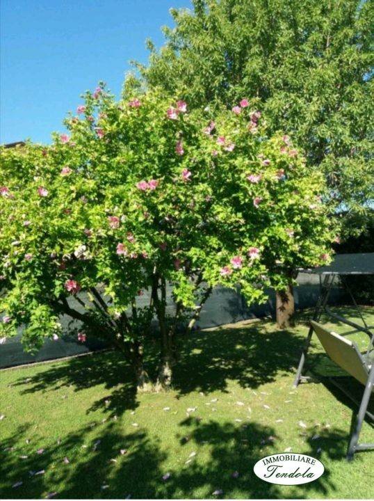 Rustico / casale a Sarzana - Foto 2