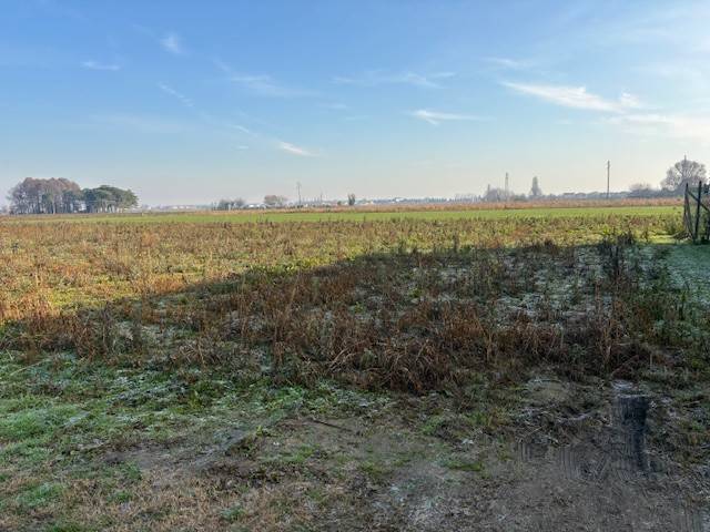 Terreno a Minerbe - Foto 2