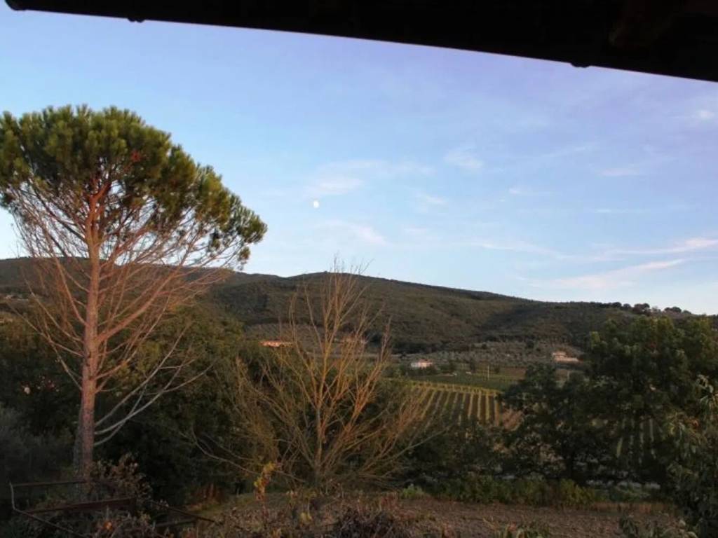 Rustico / casale a Baschi - Foto 2