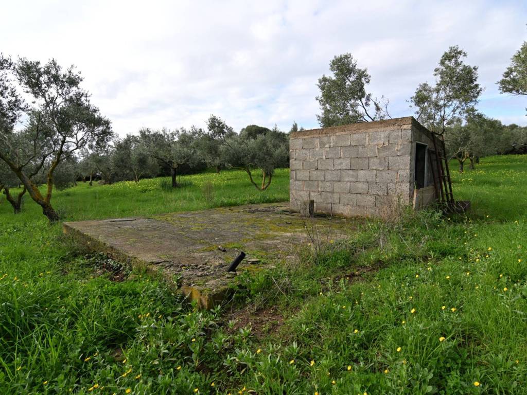 Terreno a Cuglieri in sessa - Foto 2