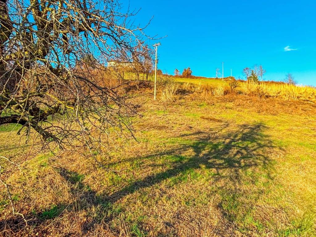 Terreno a Dogliani in Via Codevilla - Foto 5