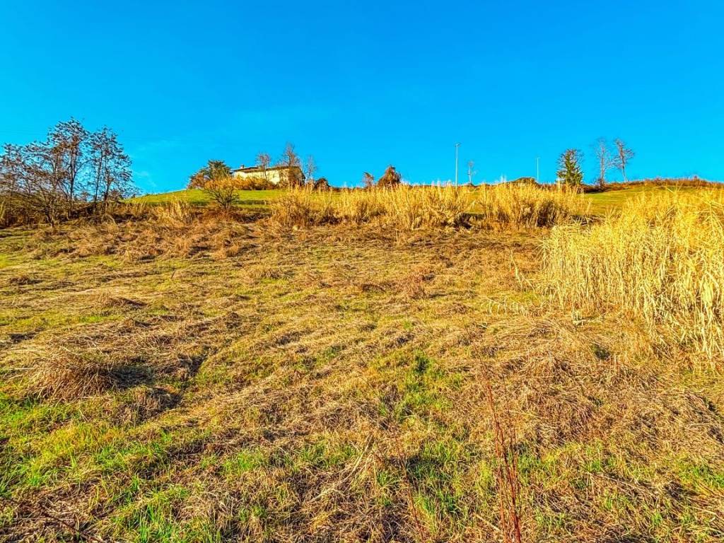 Terreno a Dogliani in Via Codevilla - Foto 4