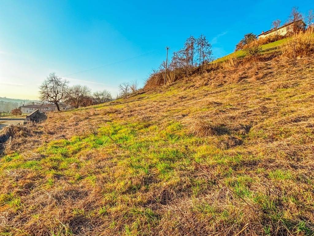 Terreno a Dogliani in Via Codevilla - Foto 5