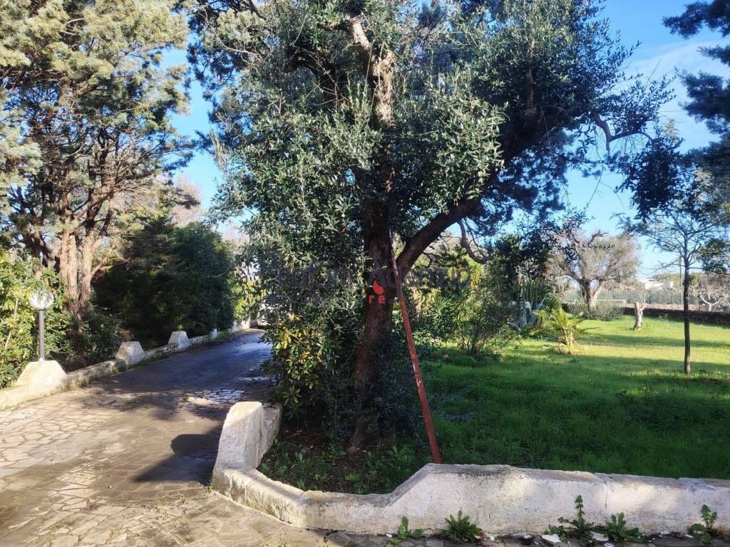 Villa a San vito dei normanni - Foto 5