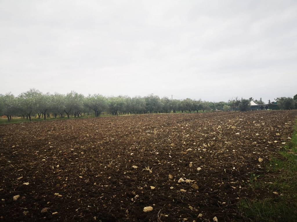 Terreno a Eboli in Via pIan del Vicario - Foto 3