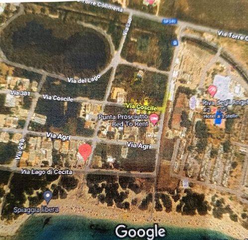 Terreno a Porto cesareo in Via 301 7634 - Foto 3