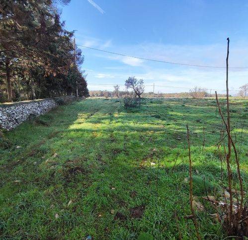 Terreno a Altamura in Sp151 281 - Foto 2