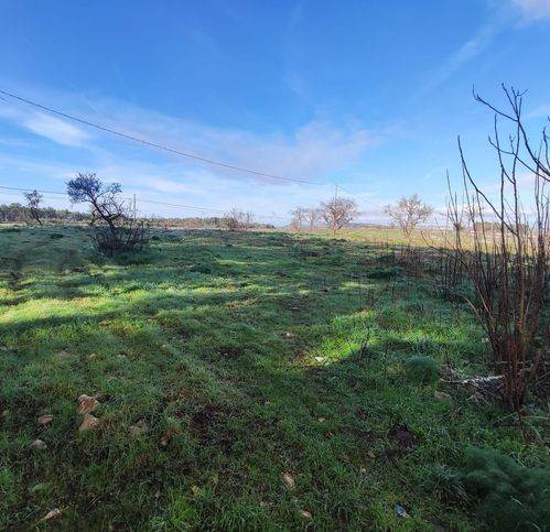 Terreno a Altamura in Sp151 281 - Foto 3