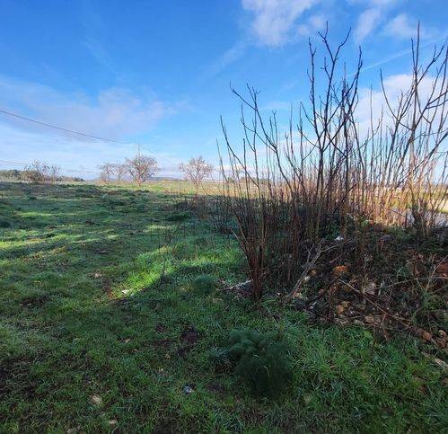 Terreno a Altamura in Sp151 281 - Foto 4