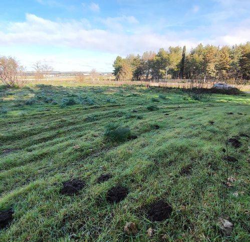 Terreno a Altamura in Sp151 281 - Foto 5