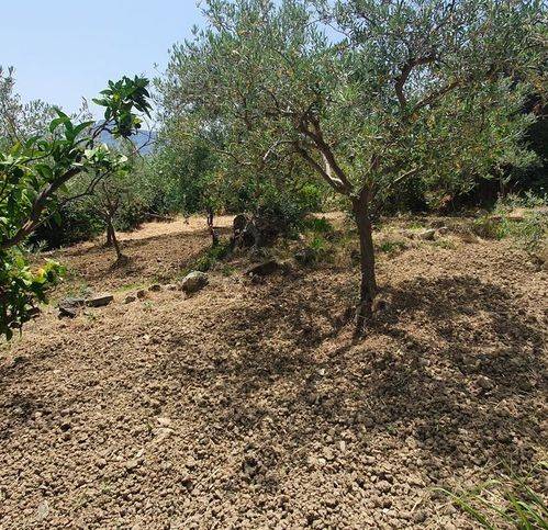 Rustico / casale a Monreale in Via M13 6 - Foto 5