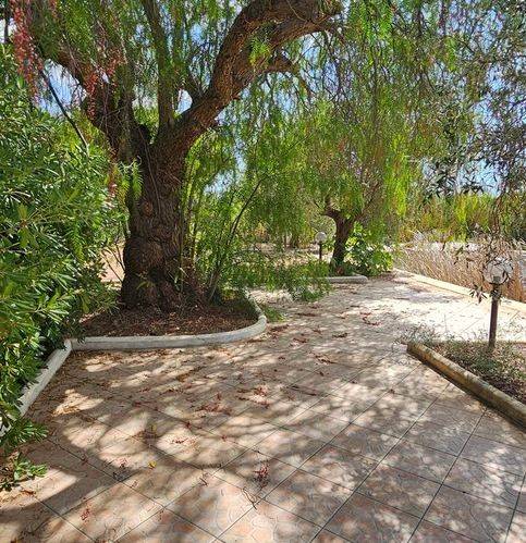 Villa a Castelvetrano in Contrada Cavallaro - Foto 3