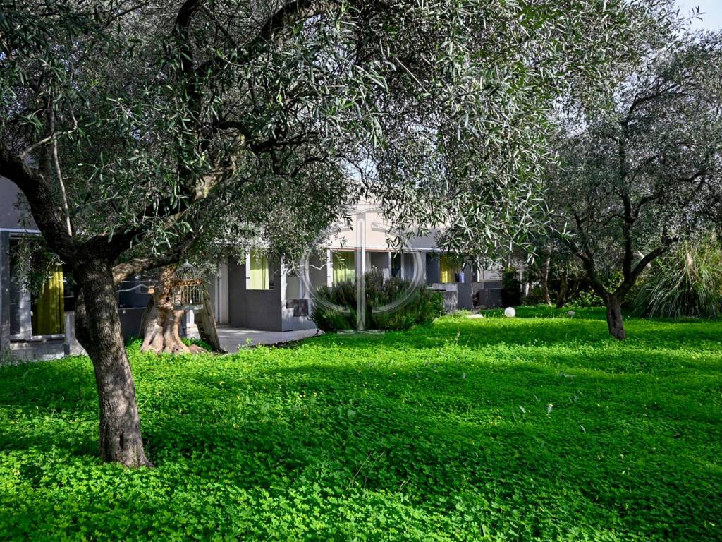 Rustico / casale a Molfetta - Foto 2