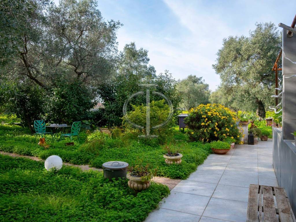 Rustico / casale a Molfetta - Foto 3