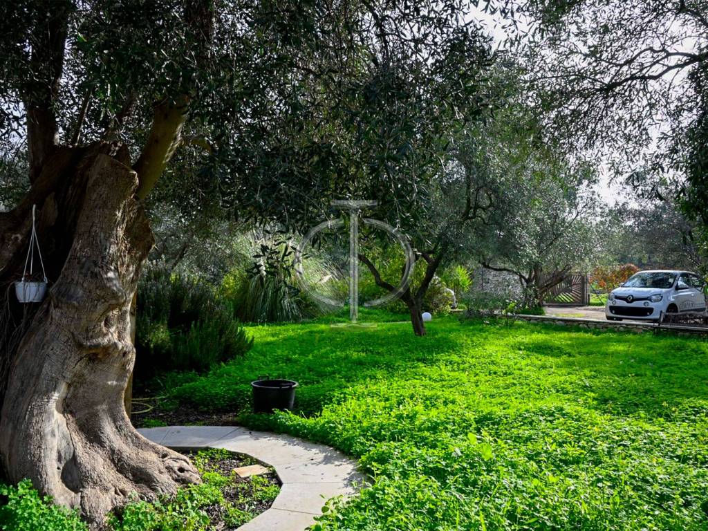 Rustico / casale a Molfetta - Foto 4