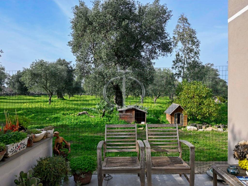 Rustico / casale a Molfetta - Foto 5