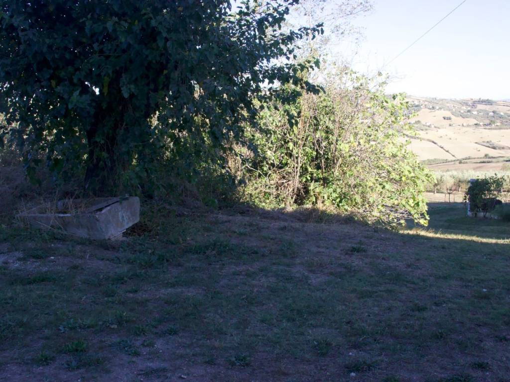 Rustico / casale a Castel frentano in Via Crocetta, 41 - Foto 4
