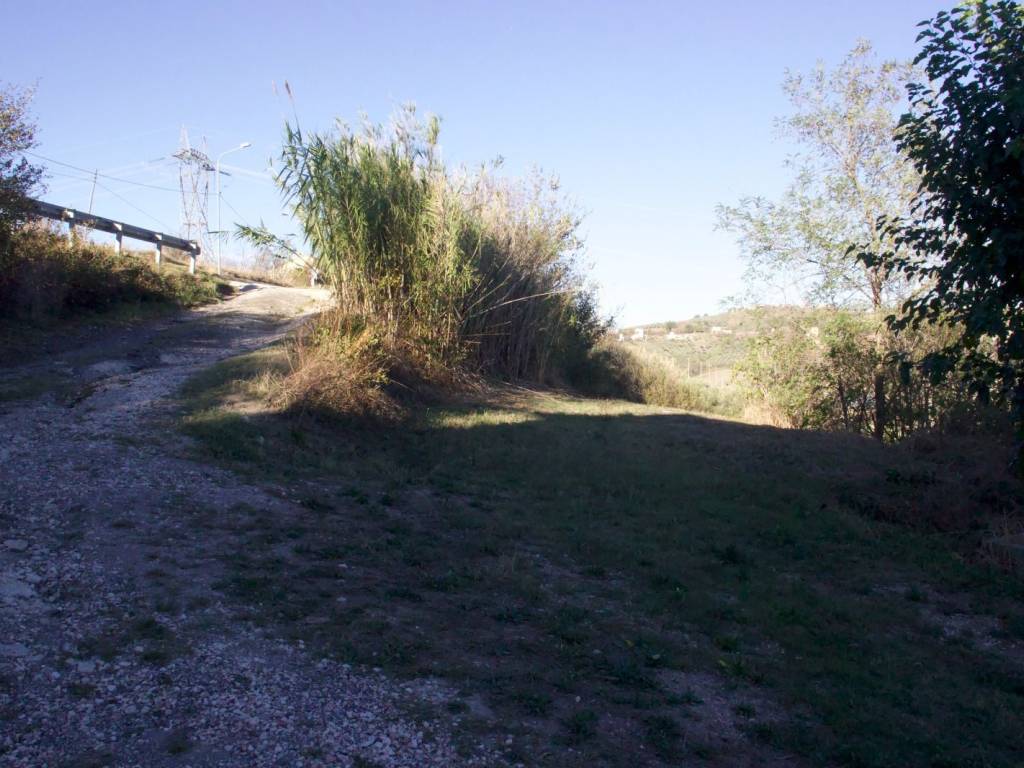 Rustico / casale a Castel frentano in Via Crocetta, 41 - Foto 5