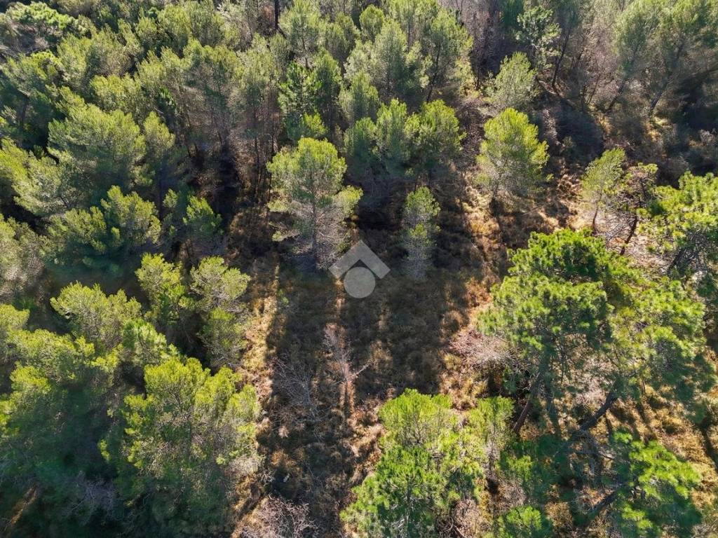 Terreno a Cipressa in Strada Comunale del Piano - Foto 3
