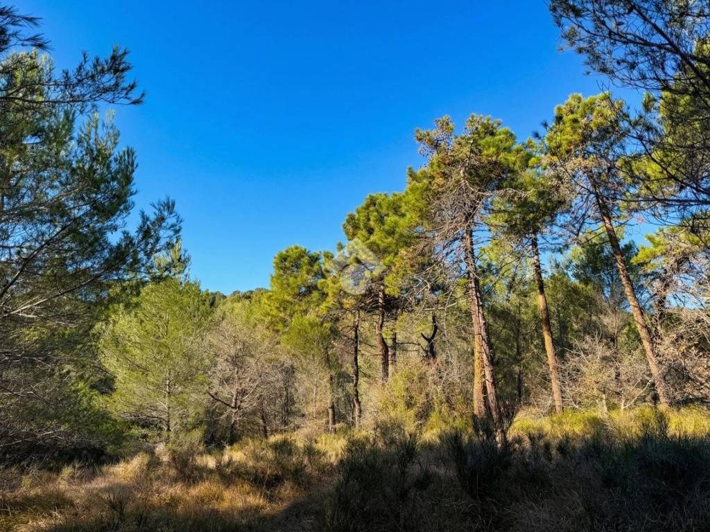 Terreno a Cipressa in Strada Comunale del Piano - Foto 4