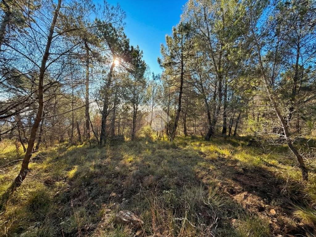 Terreno a Cipressa in Strada Comunale del Piano - Foto 5