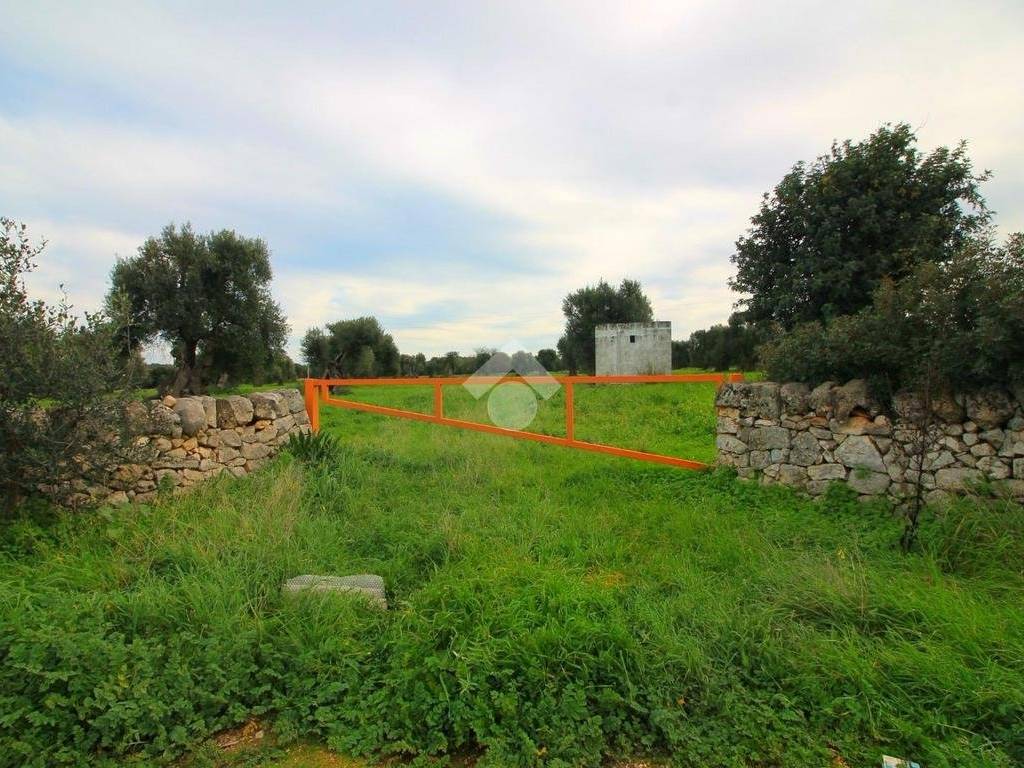 Terreno a Ostuni - Foto 2