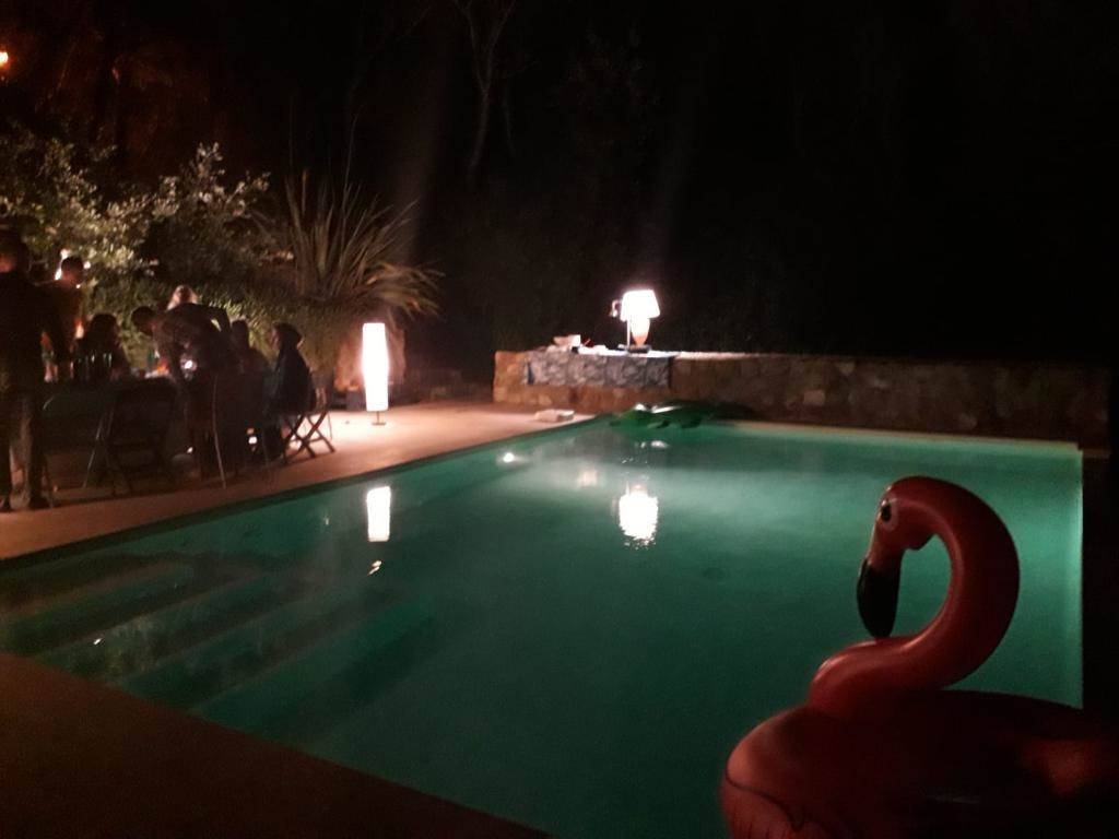 Appartamento a Livorno in via dell'edera, 10 - Foto 2