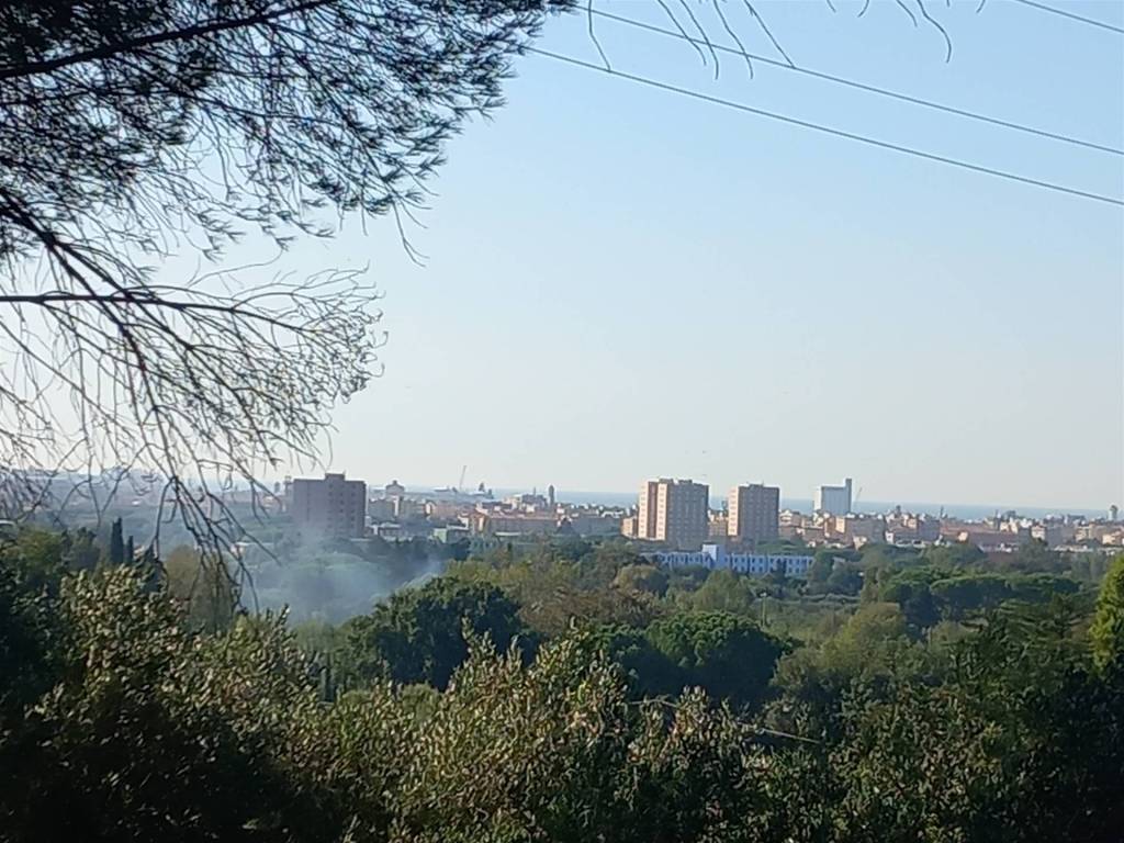 Terreno a Livorno in VIA DELL'ULIVETA, 50 - Foto 5