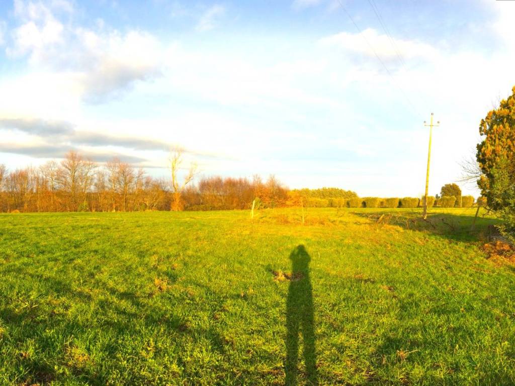 Terreno a Pitigliano in Strada Regionale Maremmana - Foto 2