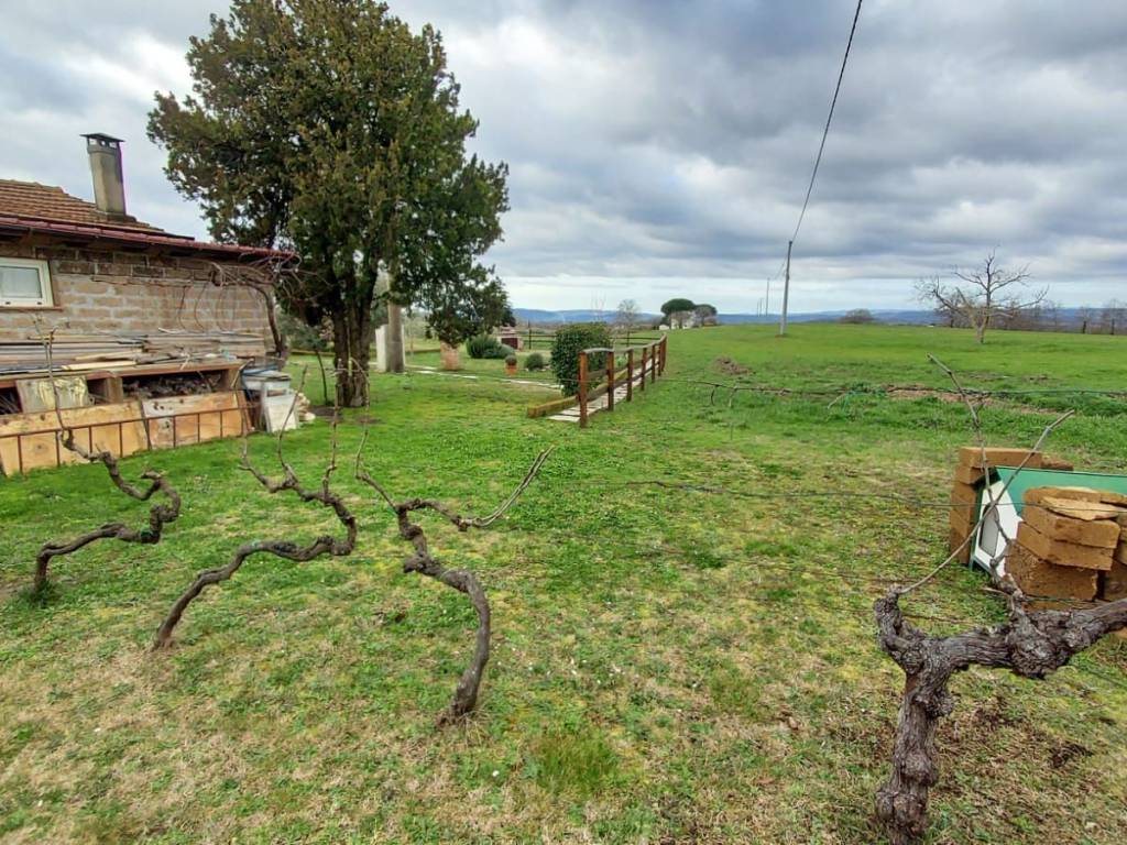 Terreno a Pitigliano in Strada Regionale Maremmana - Foto 4