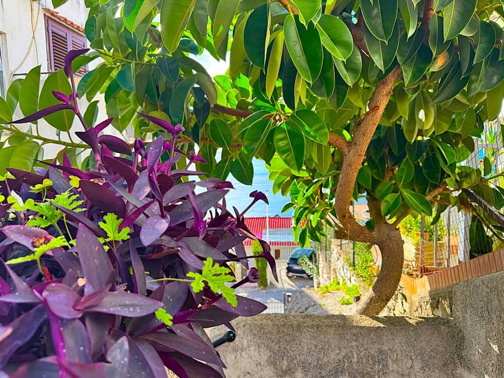 Appartamento a Scalea in Via Panoramica - Foto 3