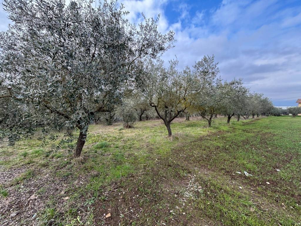 Terreno a Benevento - Foto 3