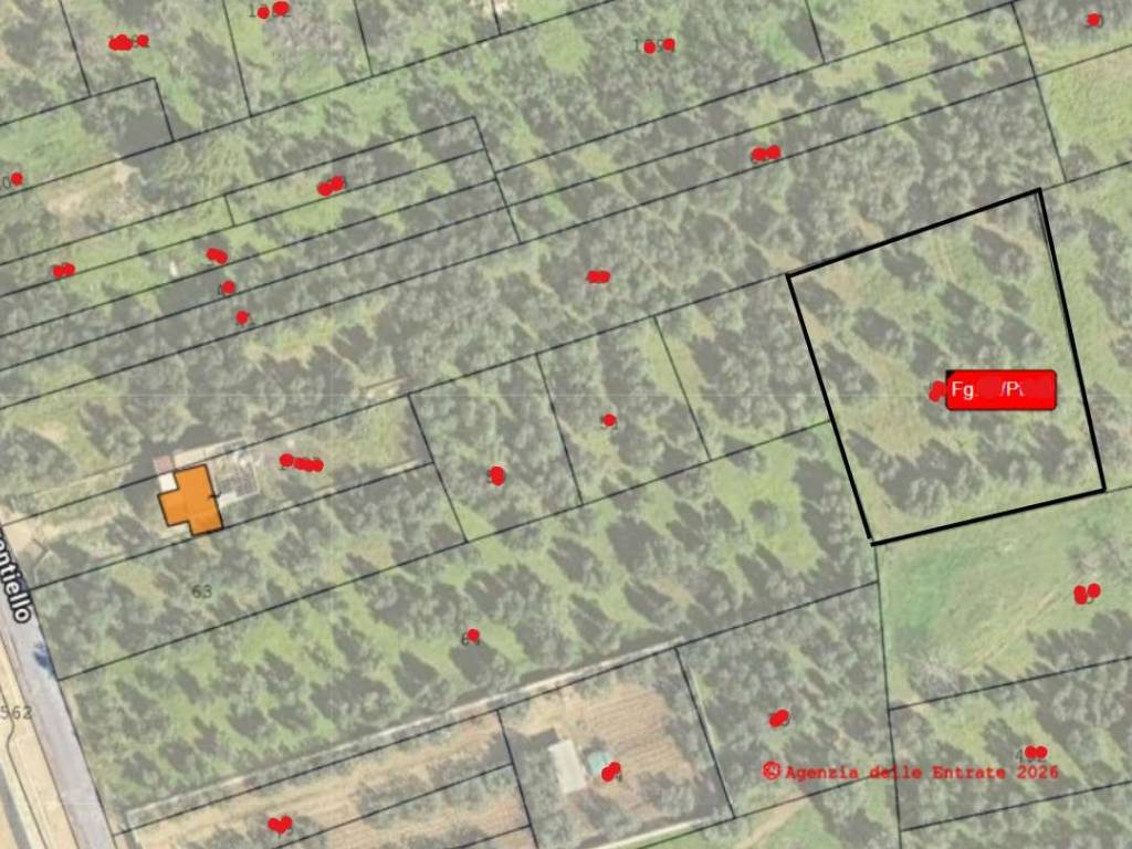 Terreno a Andria - Foto 2