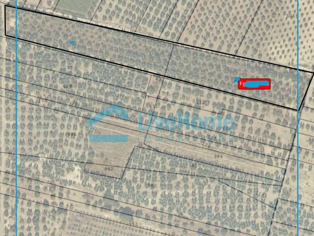 Terreno a Andria - Foto 2