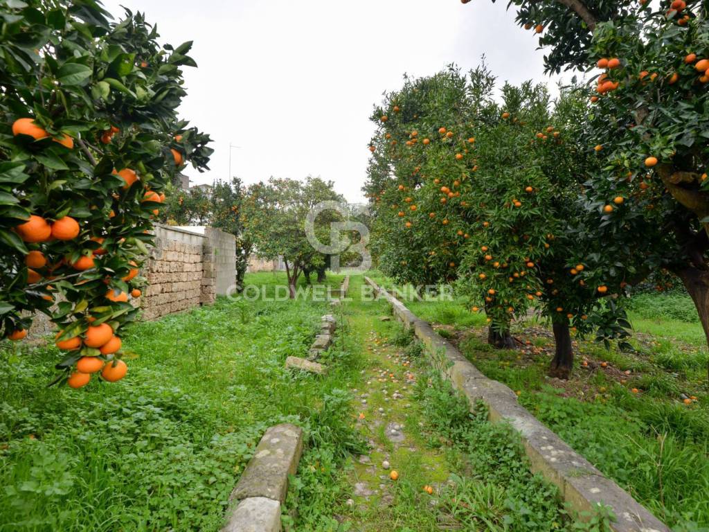 Casa indipendente a Arnesano in Via Giuseppe Garibaldi - Foto 2