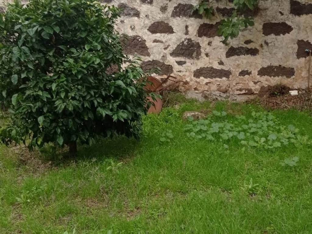 Terreno a Ghilarza - Foto 3